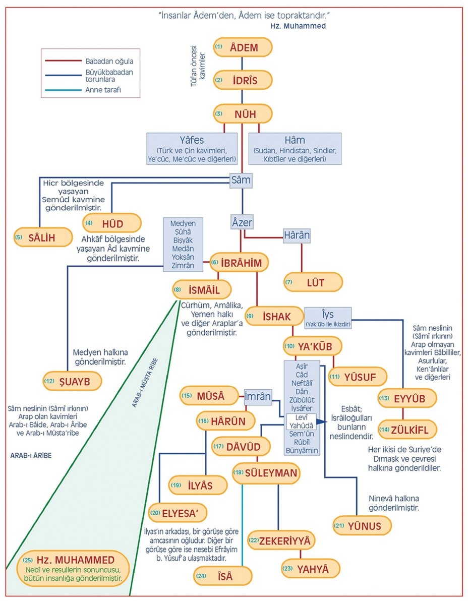 Kur’ân-ı Kerîm’de kıssaları zikredilen nebî ve resullerin şeceresi