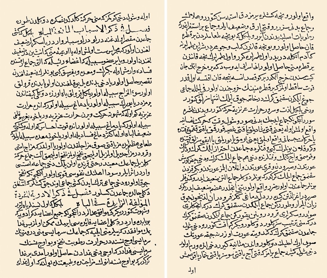 Geredeli İshak’ın Edviye-i Müfrede adlı eserinden iki sayfa (Bursa Eski Yazma ve Basma Eserler Ktp., Haraççıoğlu, nr. 1134/1, vr. 87b-88a)
