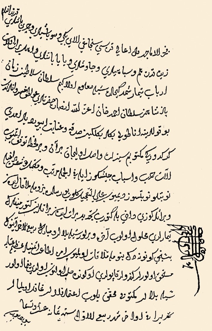 Saltanat iddiasında bulunan Şehzade Ahmed tarafından 918’de (1512) Anadolu beylerbeyiliğine tayin edilmiş olan Mehmed b. Dâvûd’un bir buyruldusu (TSMK, nr. E. 5448)