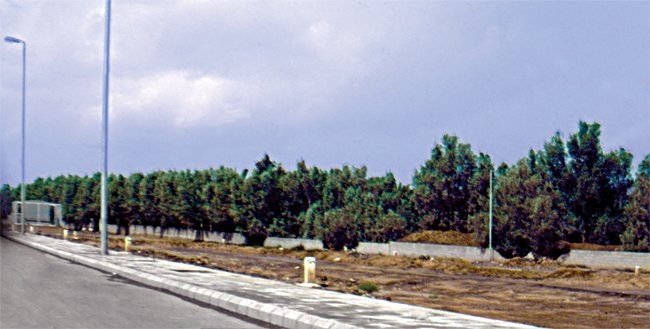 Bedir hurmalıkları – Medine/Suudi Arabistan