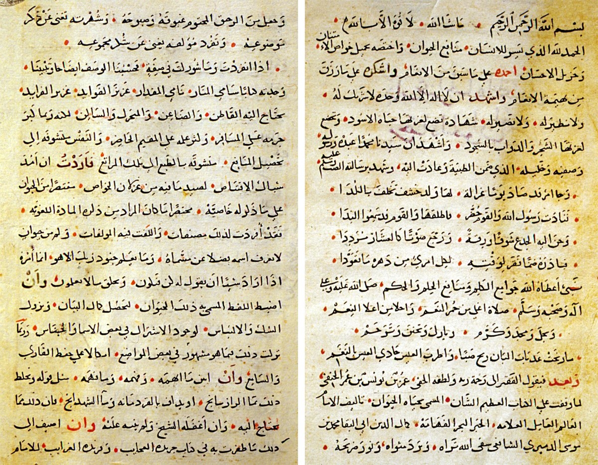 Ḥayâtü’l-ḥayevân adlı eserin Ömer b. Yûnus el-Hanefî tarafından yapılan muhtasarının ilk iki sayfası (TSMK, III. Ahmed, nr. 2409)