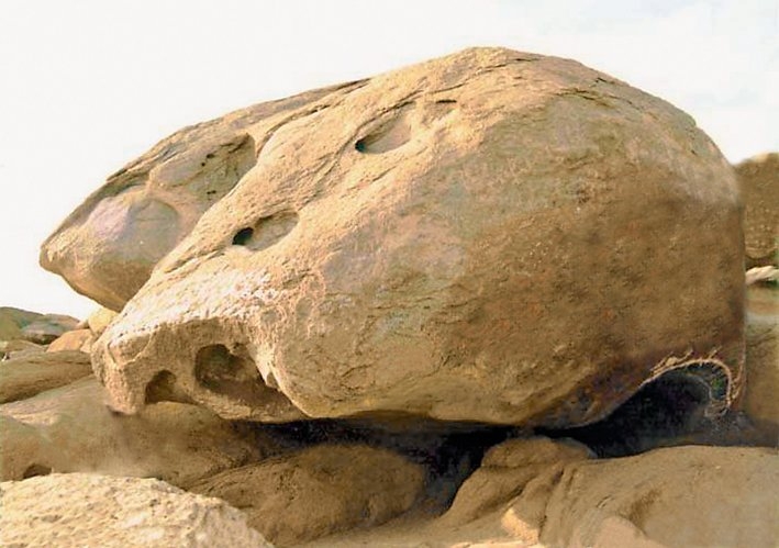 Sevr mağarası (Orhan Durgut fotoğraf arşivi)