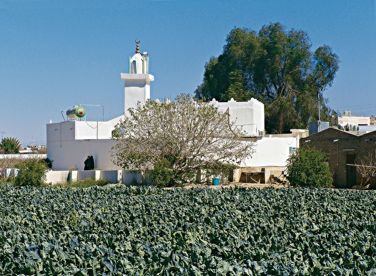Hz. Muhammed’in Tâif dönüşü sığındığı Utbe b. Rebîa ve kardeşi Şeybe’nin bağında kendisine inanıp müslüman olan hıristiyan köle Addâs’ın anısına yaptırılan Addâs Camii