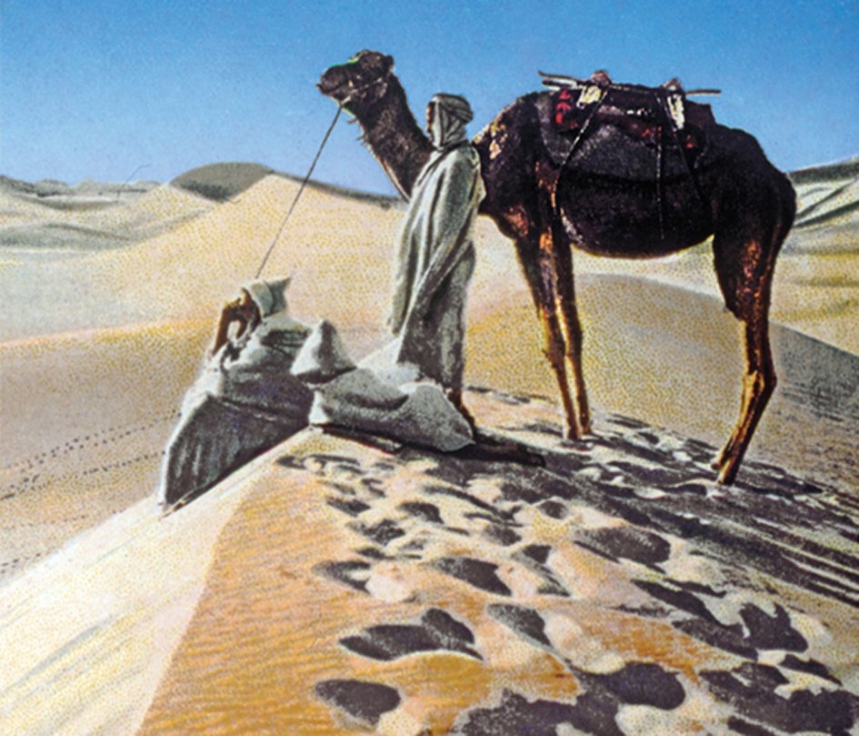 Çölde bedevîler (Muhittin Serin kartpostal koleksiyonu)