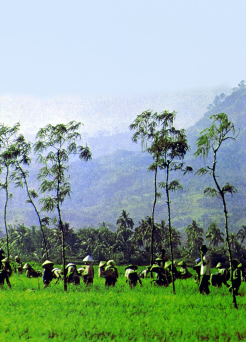 Cava’da ziraatla uğraşan çiftçiler