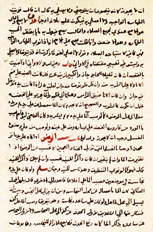 Ferrâ el-Begavî’nin Fetâvâ adlı eserinden bir sayfa (Süleymaniye Ktp., Süleymaniye, nr. 675/3, vr. 225a)