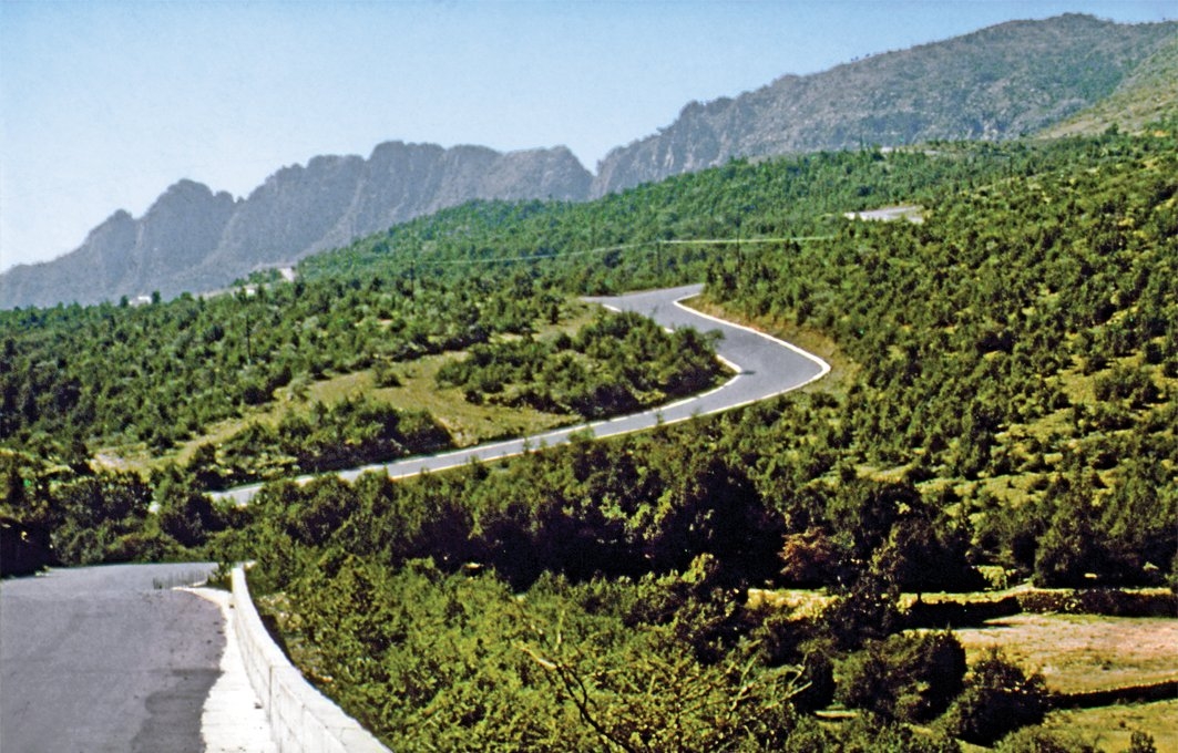 Bâha’da bir orman görüntüsü – Gâmid ve Zehrân/Suudi Arabistan