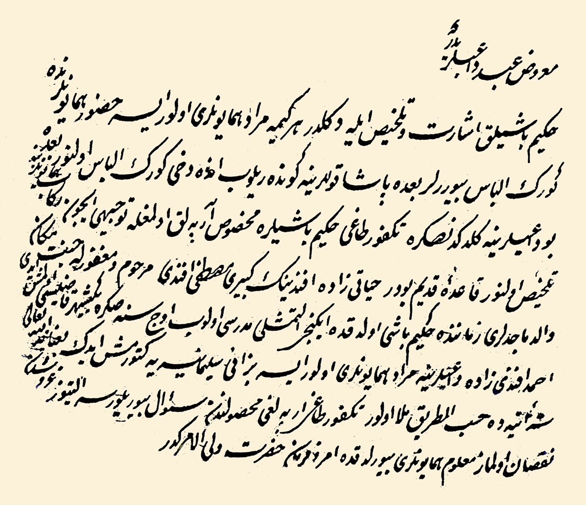 Hekimbaşı tayini ve arpalığı hakkında bir arz (TSMA, nr. E. 668)