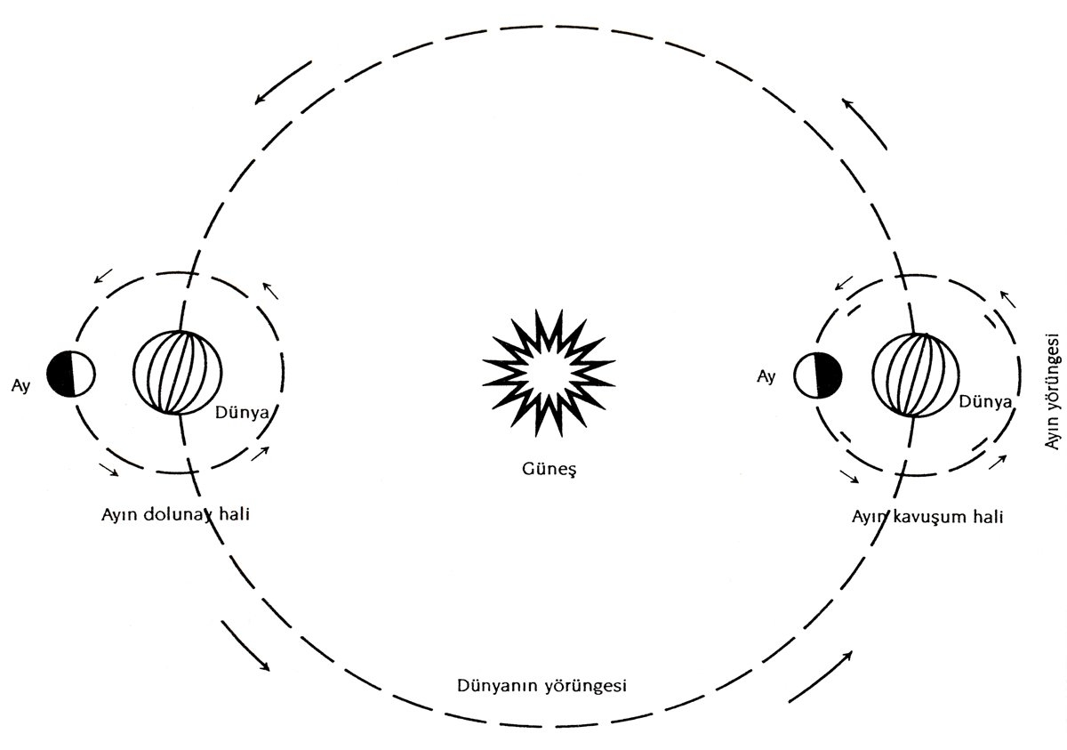 Ayın dolunay ve kavuşum hali
