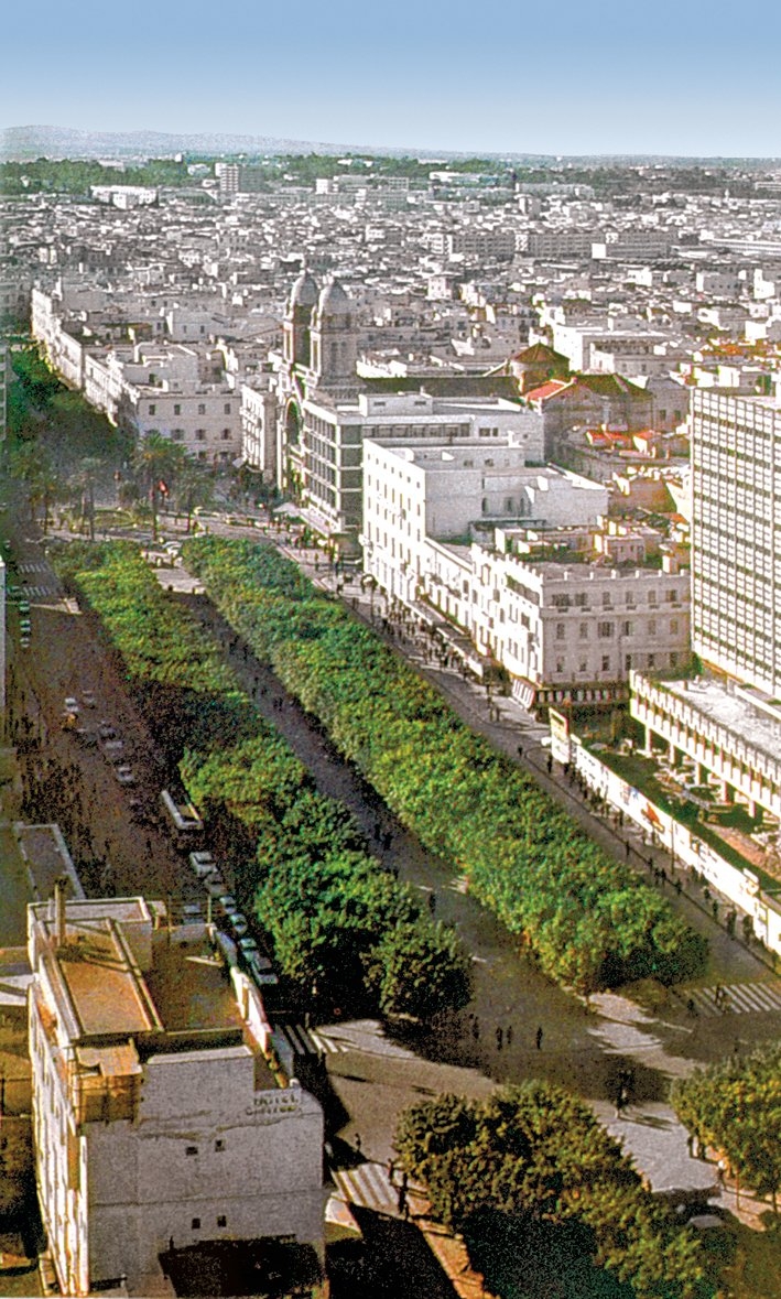 Tunus şehrinin modern kesiminden bir görünüş