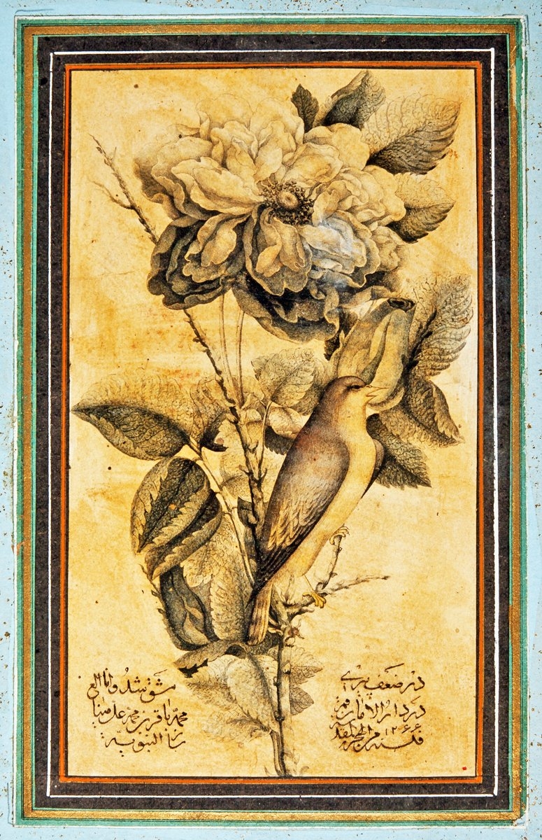 Bülbül ve gül tasviri (İÜ Ktp., İbnülemin, Albüm, nr. 3784)