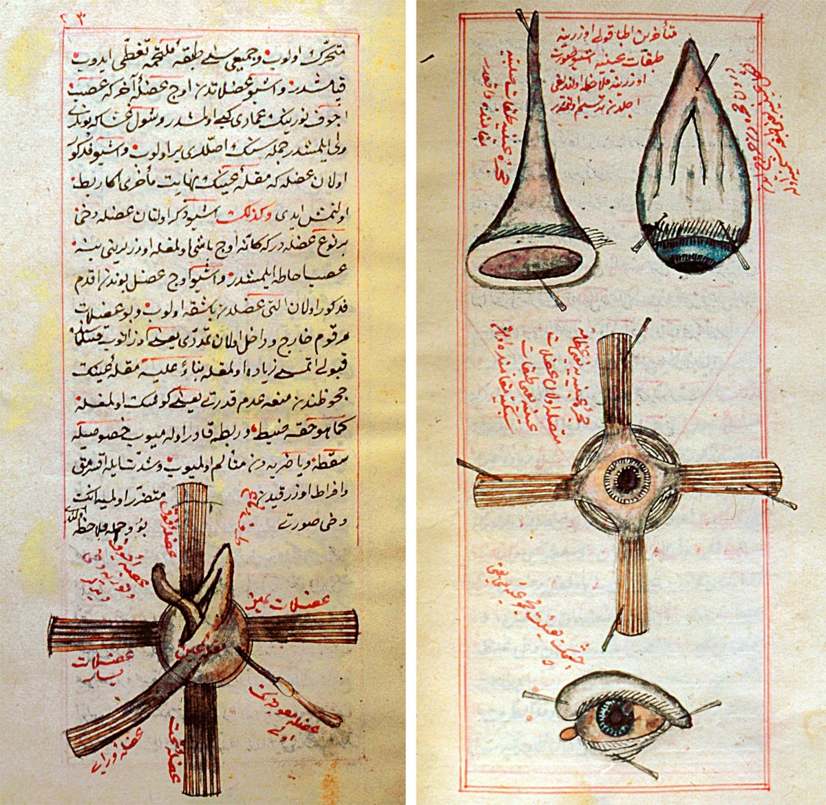 Gevrekzâde Hasan Efendi’nin Zübdetü’l-kühliyye adlı eserinden iki sayfa (TSMK, Hazine, nr. 571, vr. 23a, 56b)