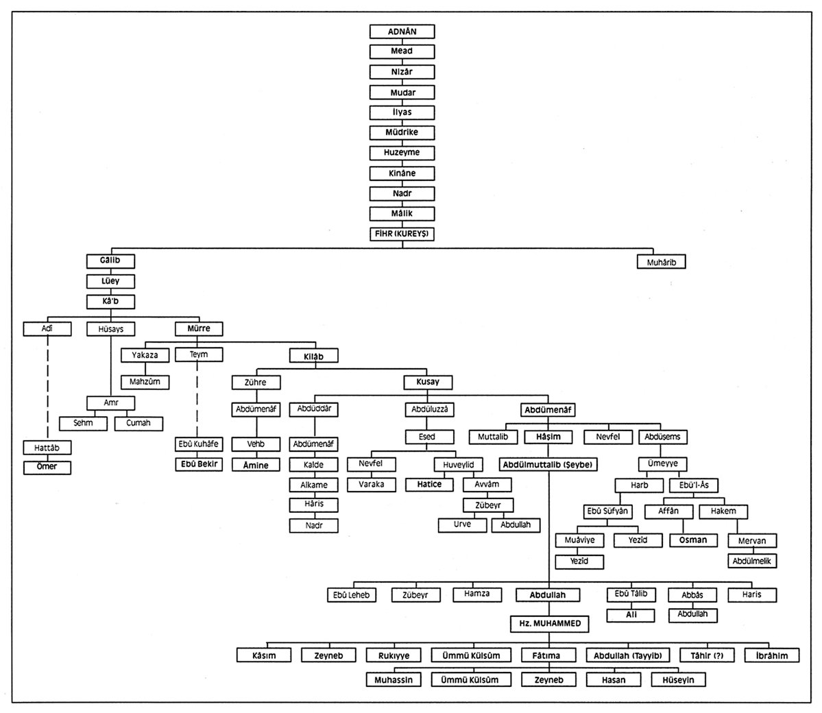 Hz. Muhammed’in şeceresi