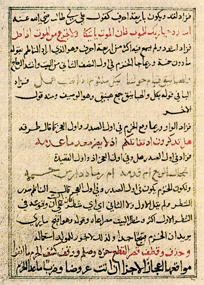 Ebû Abdullah Muhammed b. Ahmed el-Hüseynî es-Sebtî’nin Kitâbü Şerḥi’l-Ḥazreciyye’sinden bir sayfa (Nihad M. Çetin koleksiyonu, vr. 26a)