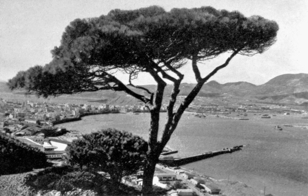 Sebte’den bir görünüş