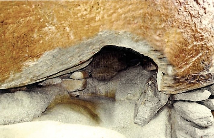 Sevr mağarasının içinden bir görünüş (Orhan Durgut fotoğraf arşivi)