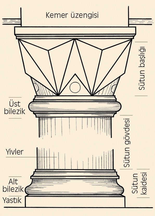 Sütunun bölümlerini gösteren bir çizim