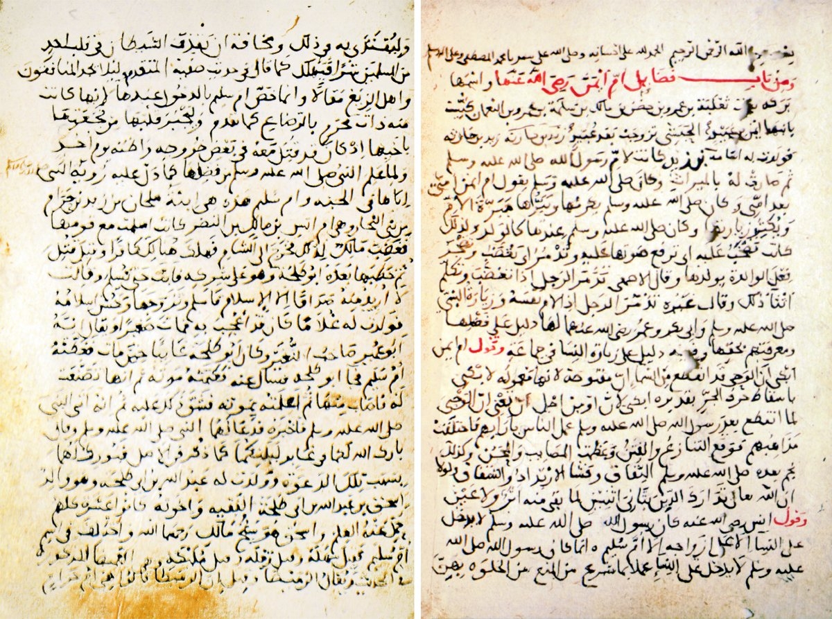 Ahmed b. Ömer el-Kurtubî’nin el-Müfhim limâ eşkele min telḫîṣi Kitâbi Müslim adlı eserinin IV. cildinin ilk iki sayfası (Süleymaniye Ktp., Cârullah Efendi, nr. 352)