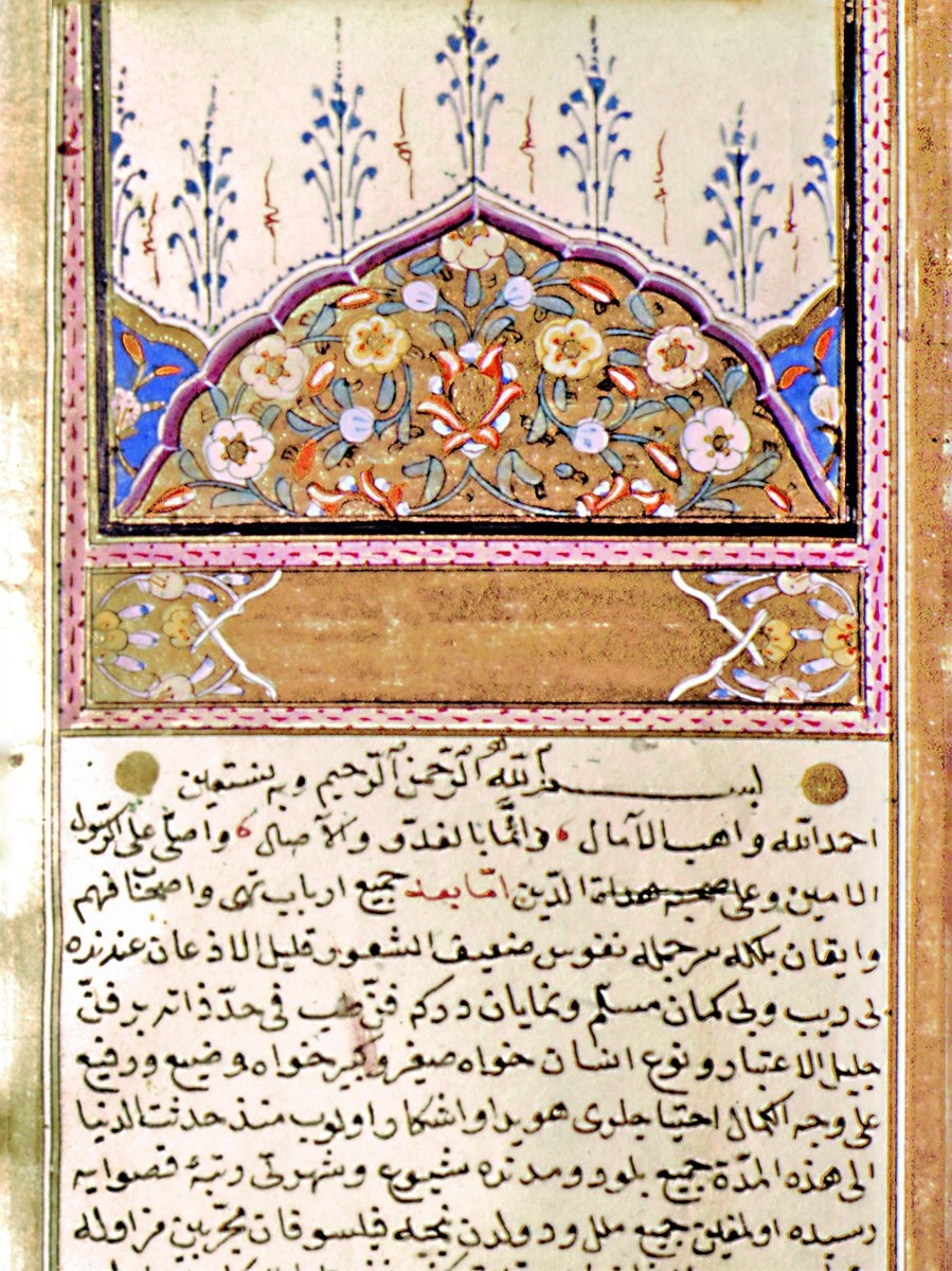 Tünekâbünî’nin Tuḥfetü’l-müʾminîn adlı akrâbâzîninin ilk sayfası(Turhan Baytop koleksiyonu)