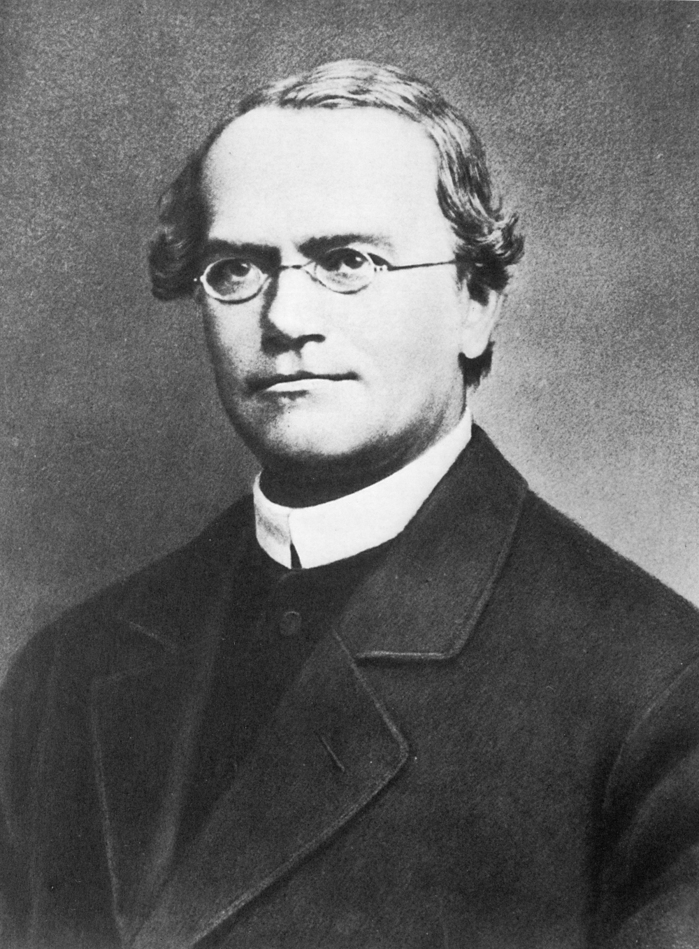 Gregor_Mendel_2.jpg