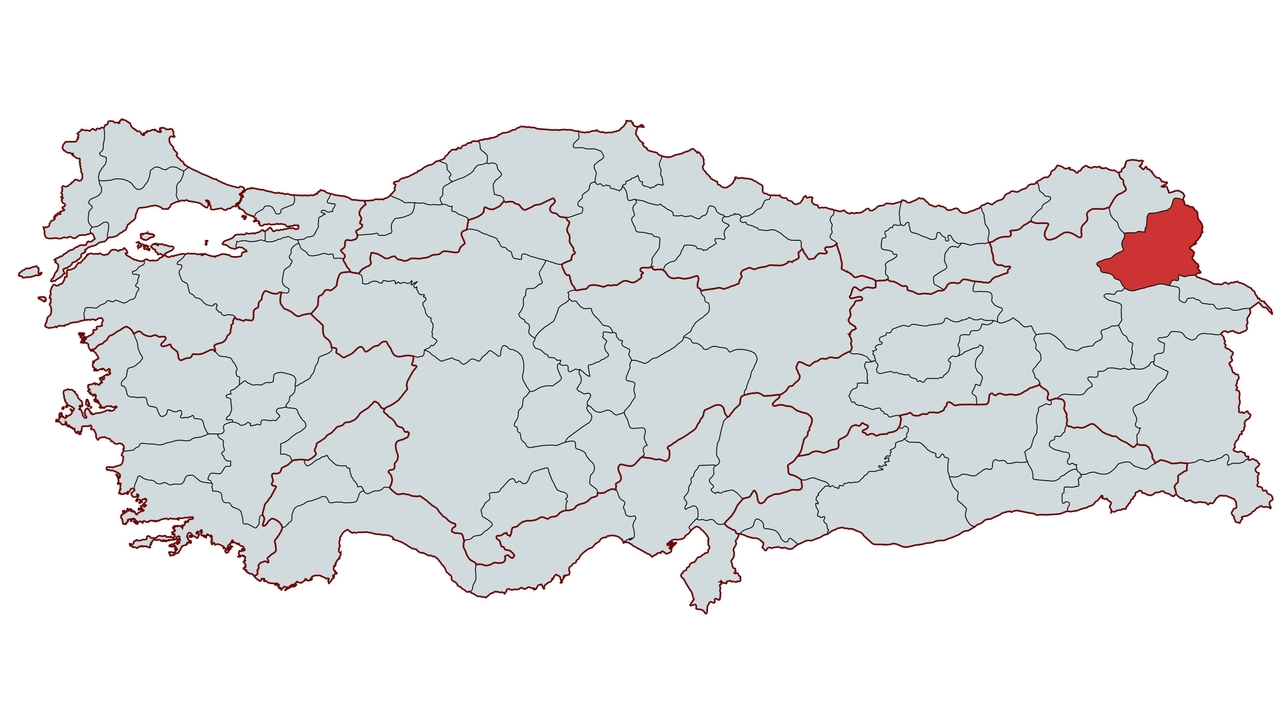 MapChart_Map (1).jpeg