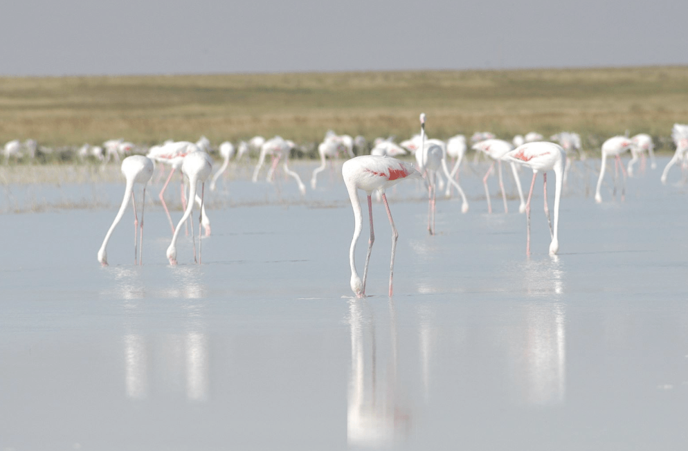 Ekran görüntüsü 2025-02-21 161221.png