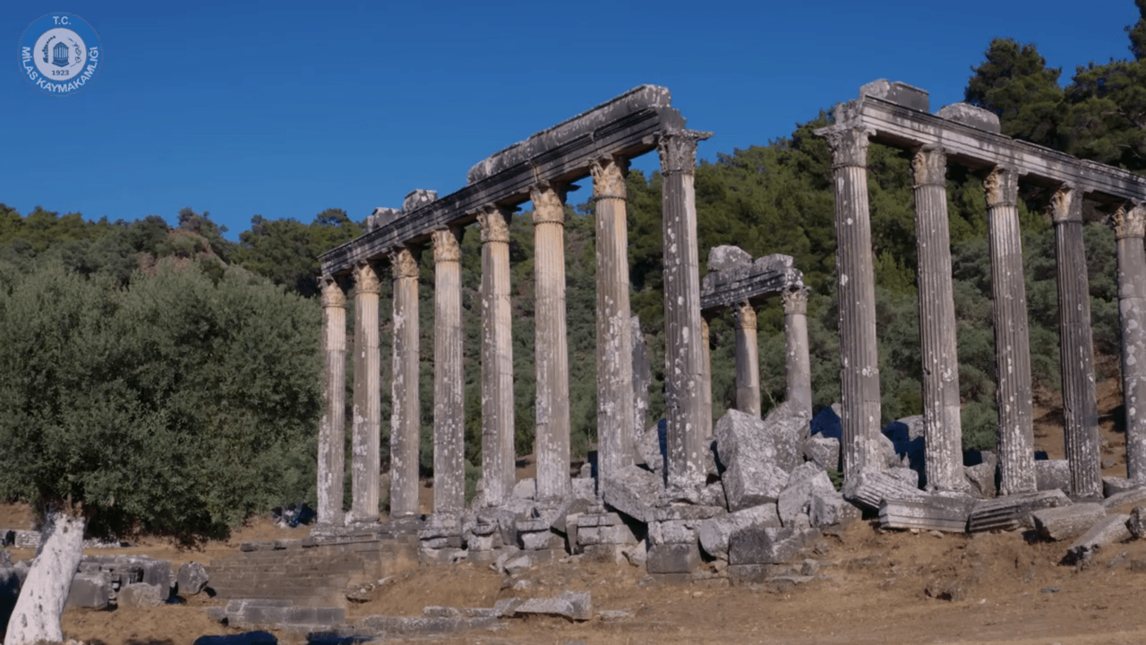 ekran-goruntusu-201 (1).png