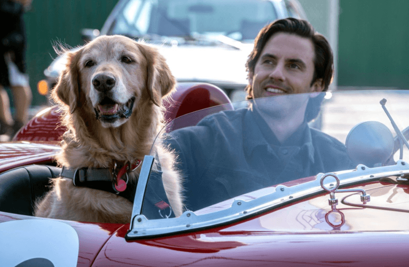 Enzo: Yağmurda Yarış Sanatı (Film)