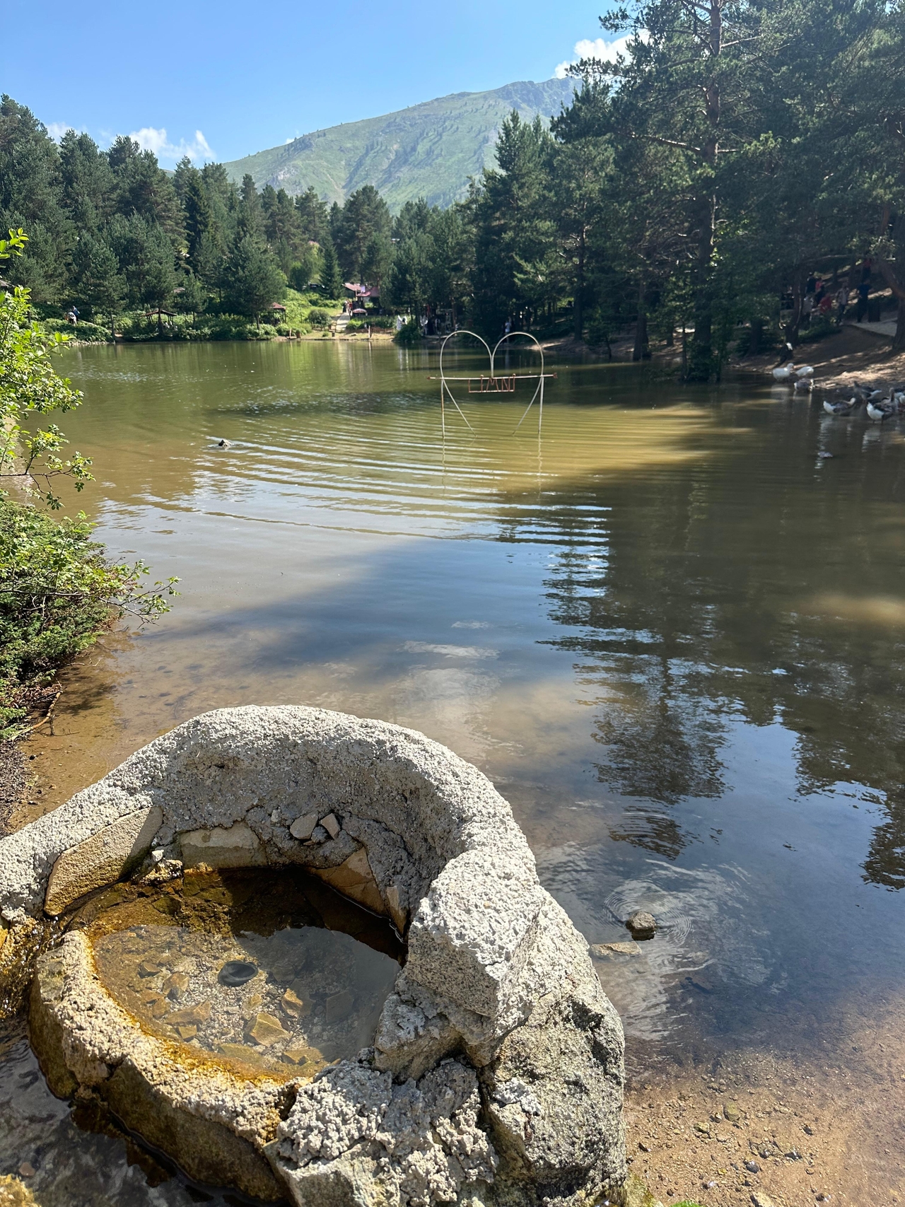 WhatsApp Image 2025-04-14 at 13.32.16.jpeg