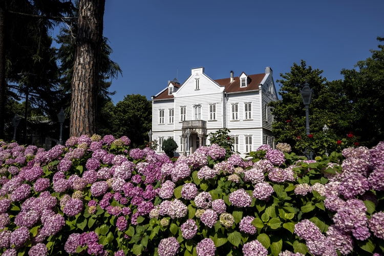 New folder-New folder (11)-AA-32980267.jpg