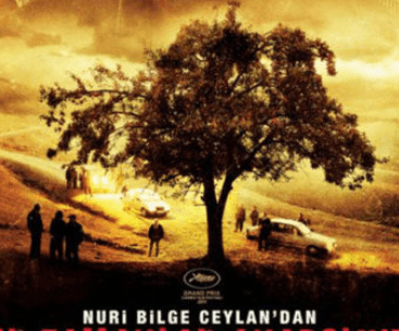 Bir Zamanlar Anadolu'da (Film)