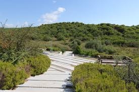 Çataldere Şehitliği