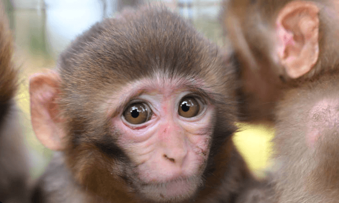 Ekran görüntüsü 2025-04-16 194958.png