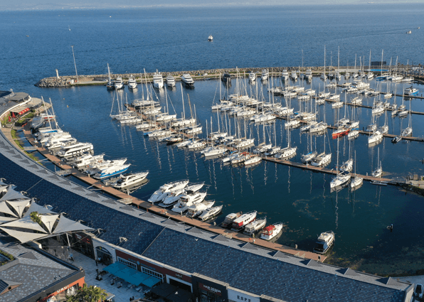 Ekran görüntüsü 2025-04-17 014342.png