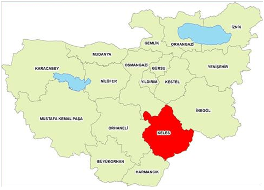 Ekran görüntüsü 2025-04-19 231444.png