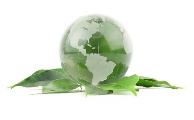 Sürdürülebilirlik ve Yeşil İş Modelleri: Geleceğin Rekabet Avantajı