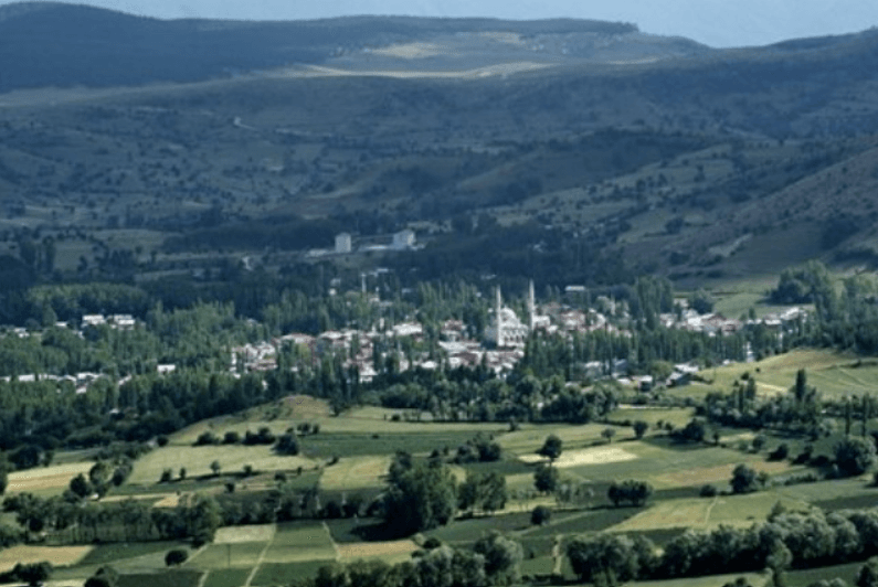 Başçiftlik (İlçe)