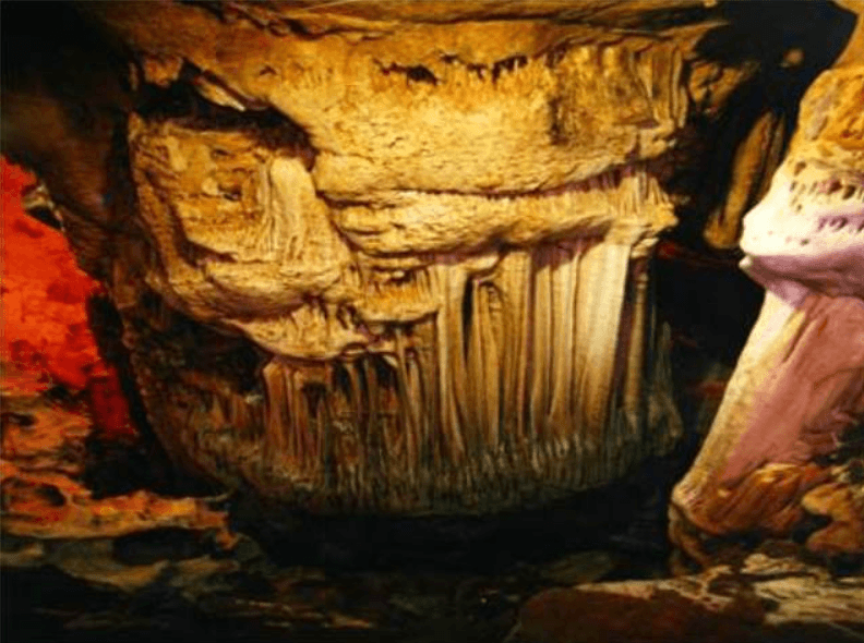 Pazar (İlçe - Tokat)