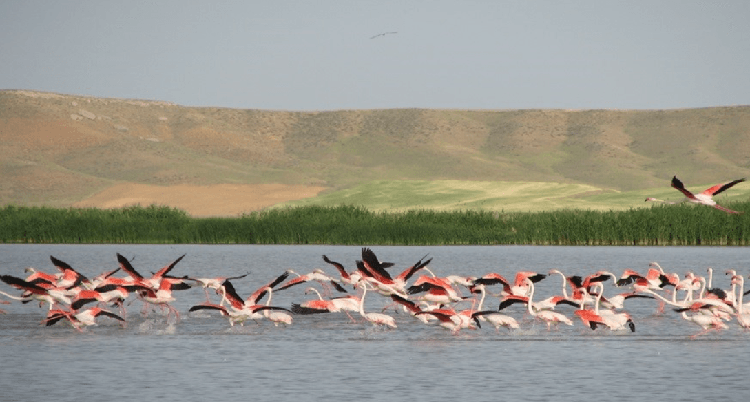 Ekran görüntüsü 2025-05-10 173545.png