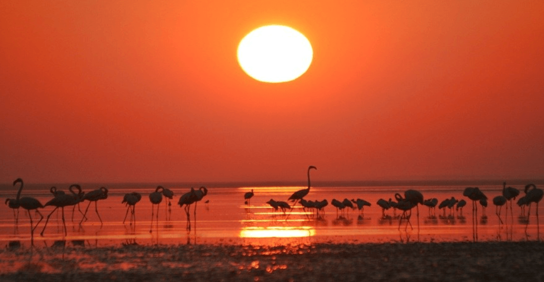 Ekran görüntüsü 2025-05-10 174151.png