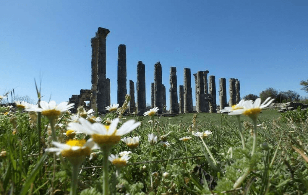 Ekran görüntüsü 2025-05-11 114311.png