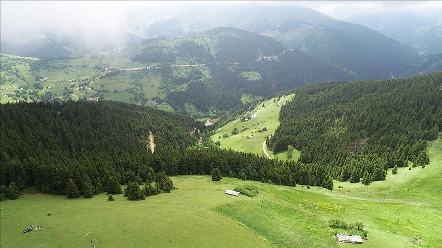 Kümbet Yaylası (Giresun)