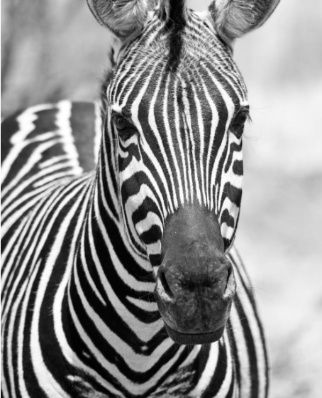 Ekran görüntüsü 2025-05-17 225445.png