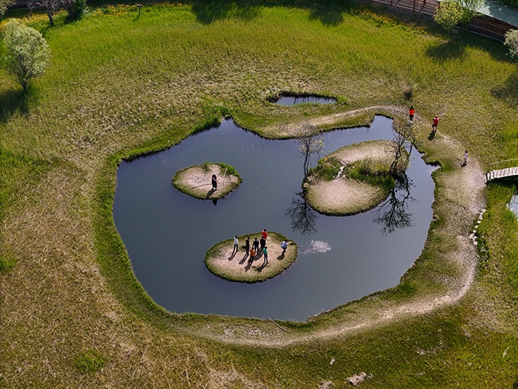 Yüzen Adalar Tabiat Anıtı