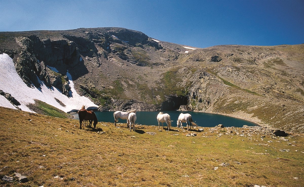 Karagöl Yaylası (Giresun)