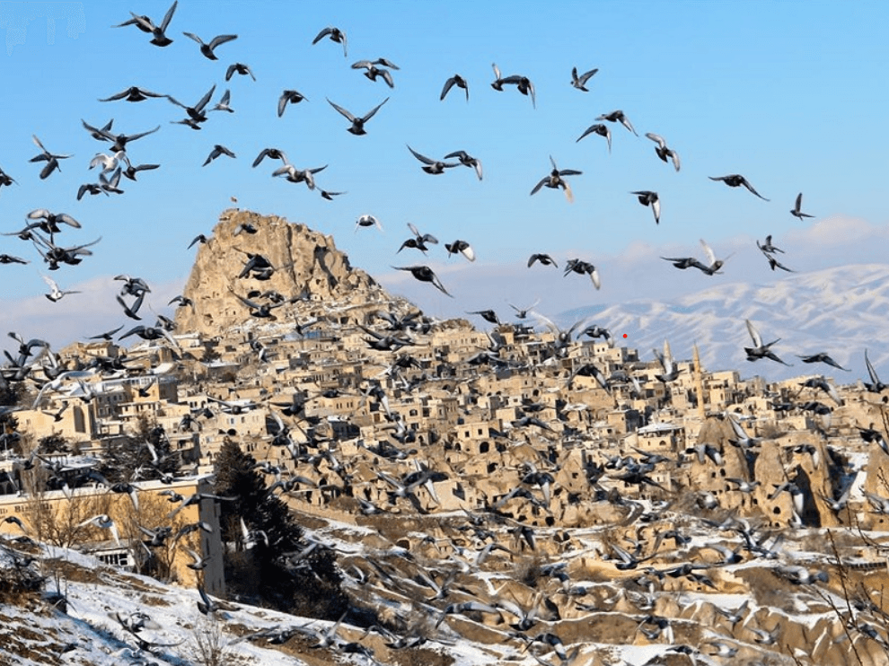 Ekran görüntüsü 2025-05-26 003209.png