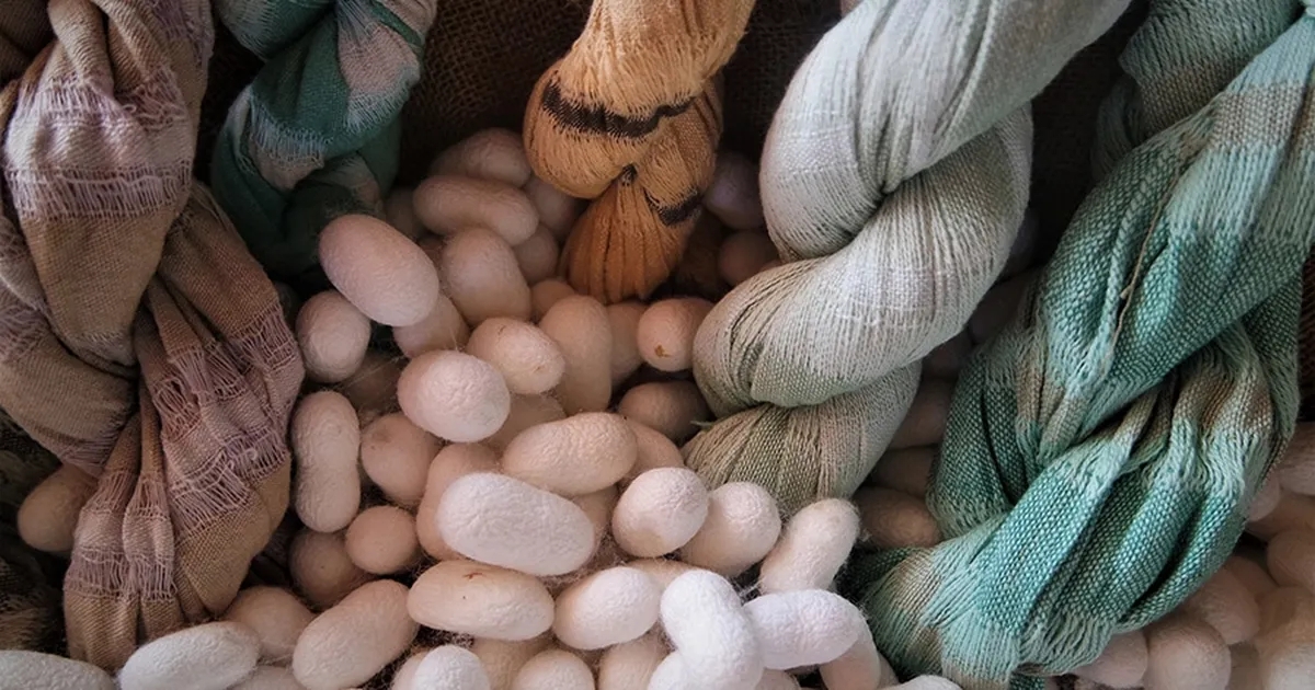 Bursa İpeği / Bursa İpek İpliği