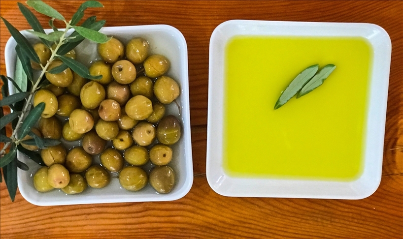 Antalya Tavşan Yüreği Zeytini