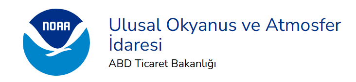 Ekran görüntüsü 2025-05-26 204742.png