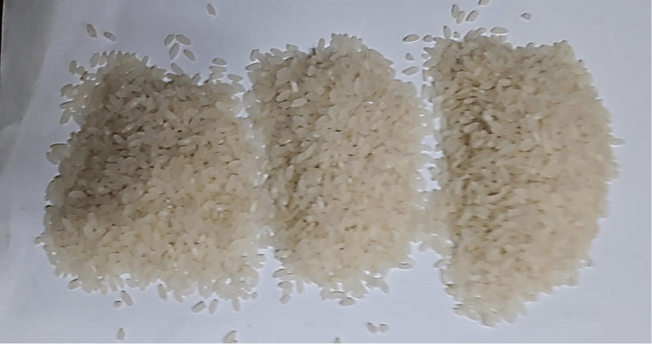 Çatalca Ormanlı Pirinci 